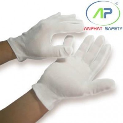 Găng tay thun APL+2